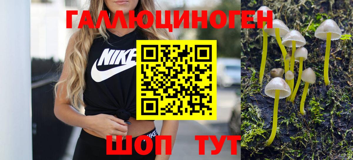 Галлюциногенные грибы MAGIC MUSHROOMS Ревда