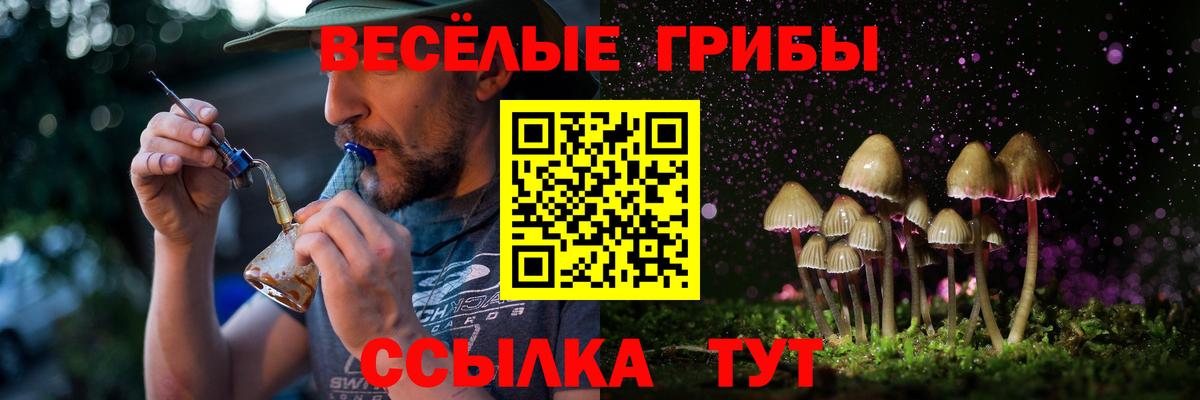 Ревда  Галлюциногенные грибы Magic Shrooms  Вход с VPN 